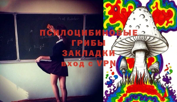 прущие крисы Алексеевка