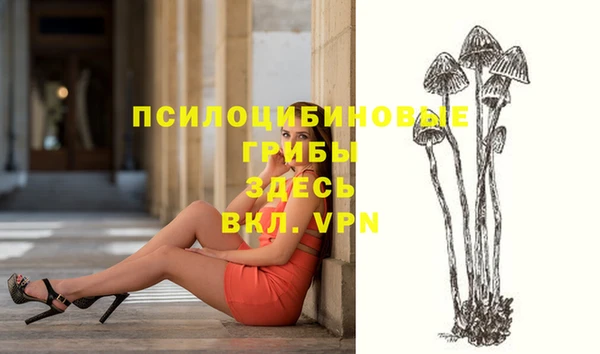 прущие крисы Алексеевка