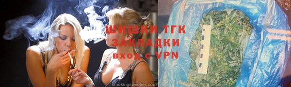 бошки Алексин