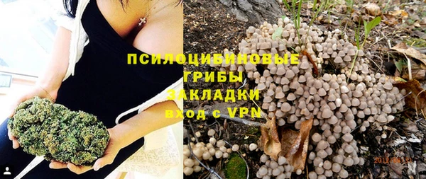 прущие крисы Алексеевка
