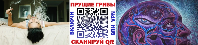 Галлюциногенные грибы мухоморы  наркошоп  Махачкала 