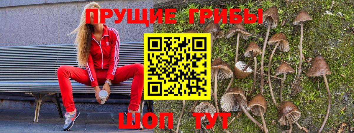 Галлюциногенные грибы ЛСД  Вход с VPN  Махачкала 